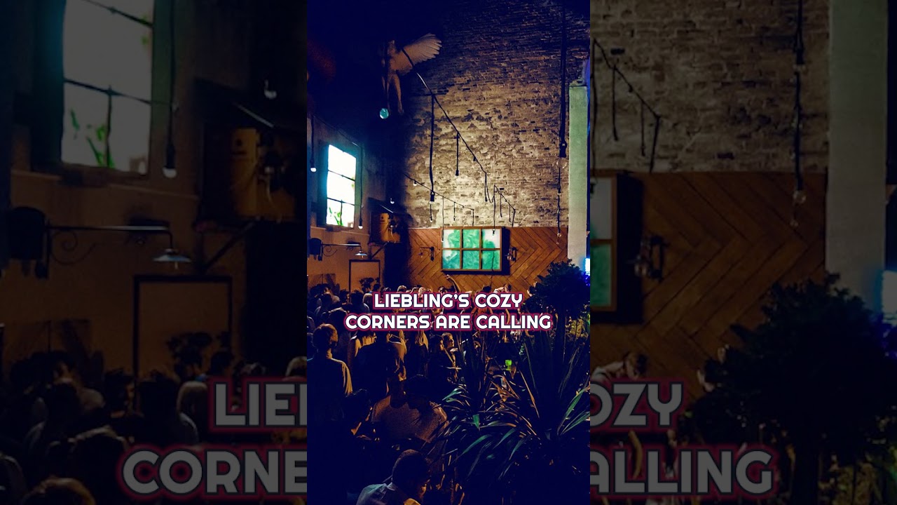 🔥 Budapest&rsquo;s CRAZIEST Party Maze 🪩 | 7 Rooms, 7 Vibes at Instant-Fogas! 🎶🍹