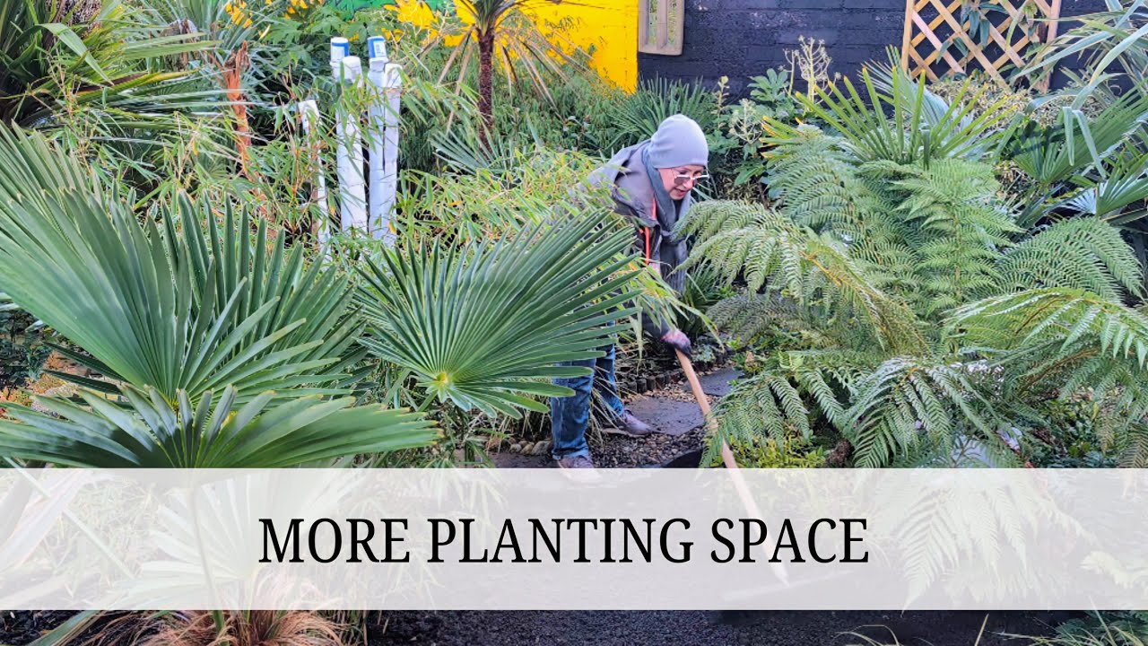 174. Creating A Larger Tropical Bed in the Winter Sunshine