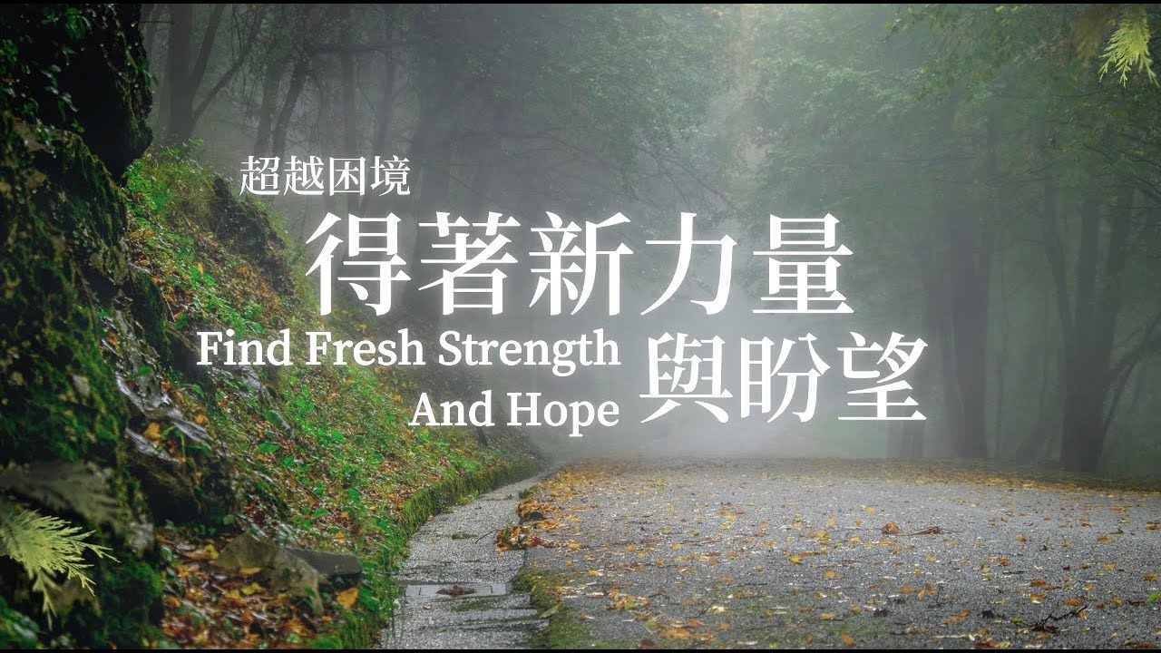 得著新力量與盼望 Find Fresh strength and hope｜靈修鋼琴沉浸音樂 soaking music #WorshipSong #放鬆音樂 #christianmusic