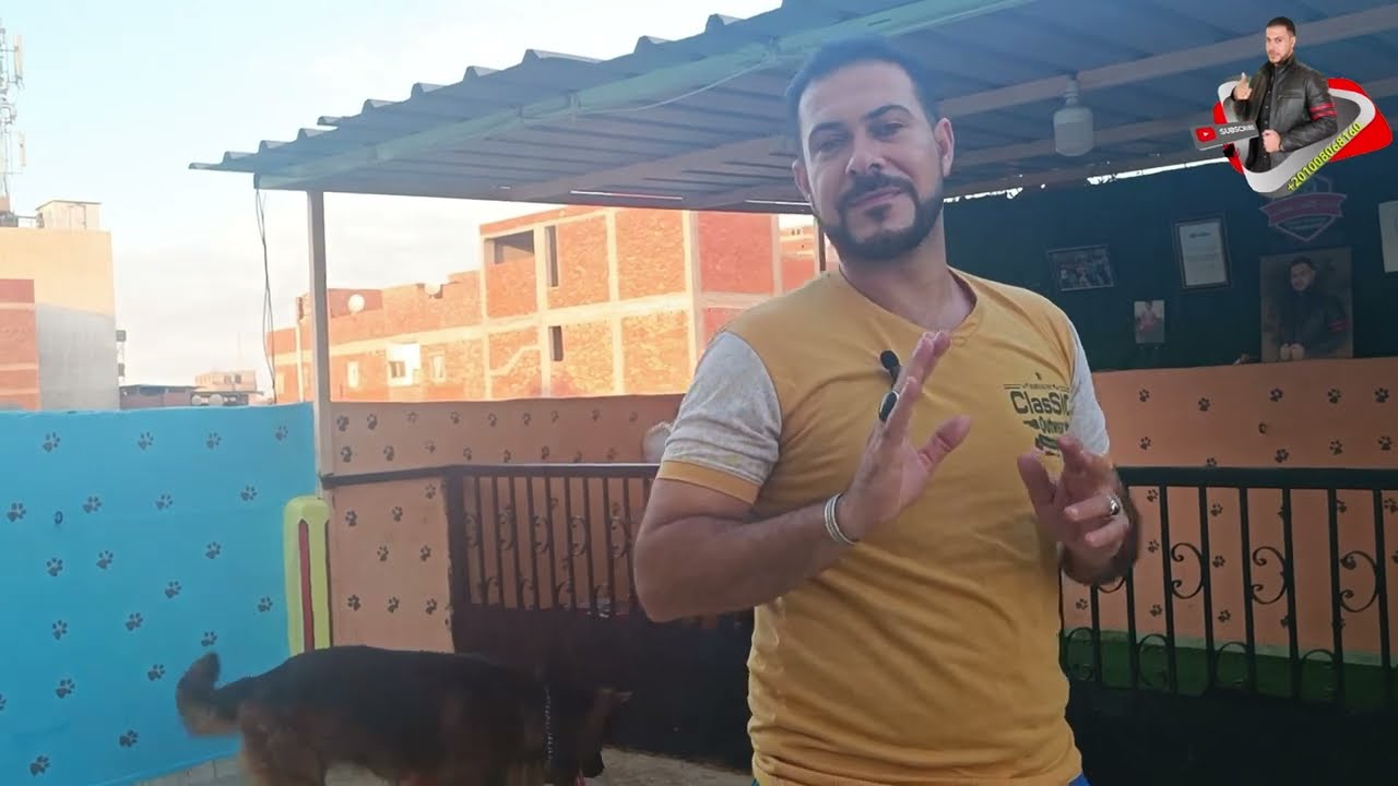 كيفيه وطريقه عمل الدعامه عند الكلاب ومدي صحتها مع كابتن شريف شحاته