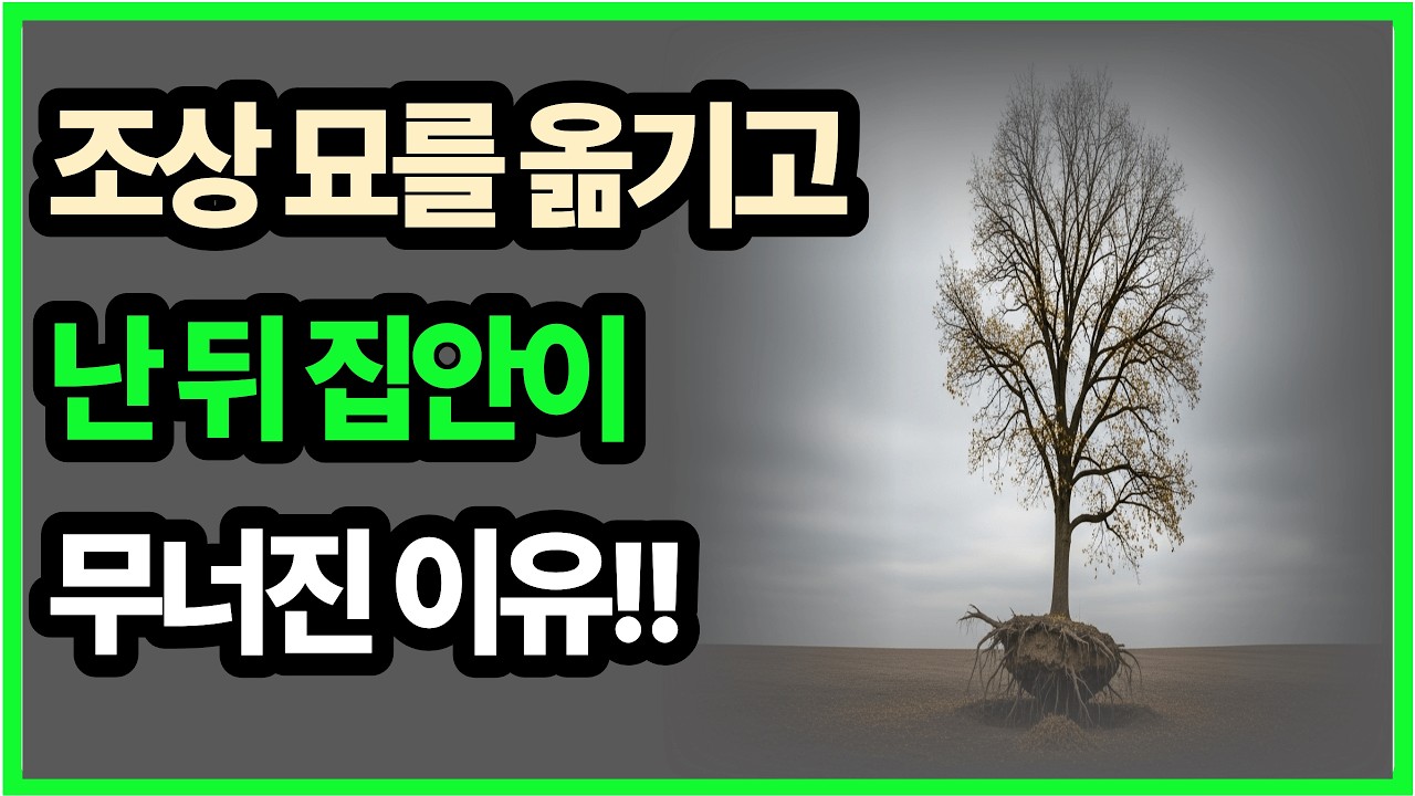 조상묘를 옮긴 뒤 집안이 갑자기 무너진 이유이것 하나만 알면 됩니다조상묘이동, 풍수, 묘이동후불행,생활풍수,조상묘풍수 집안의흐름,말년풍수, 묘풍수,풍수이야기, 시니어콘텐츠,,파묘,