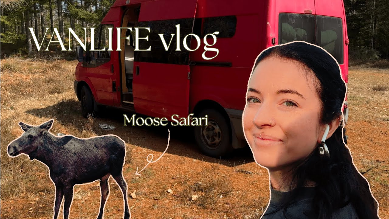 VANLIFE VLOG | book chats + we saw a moose!