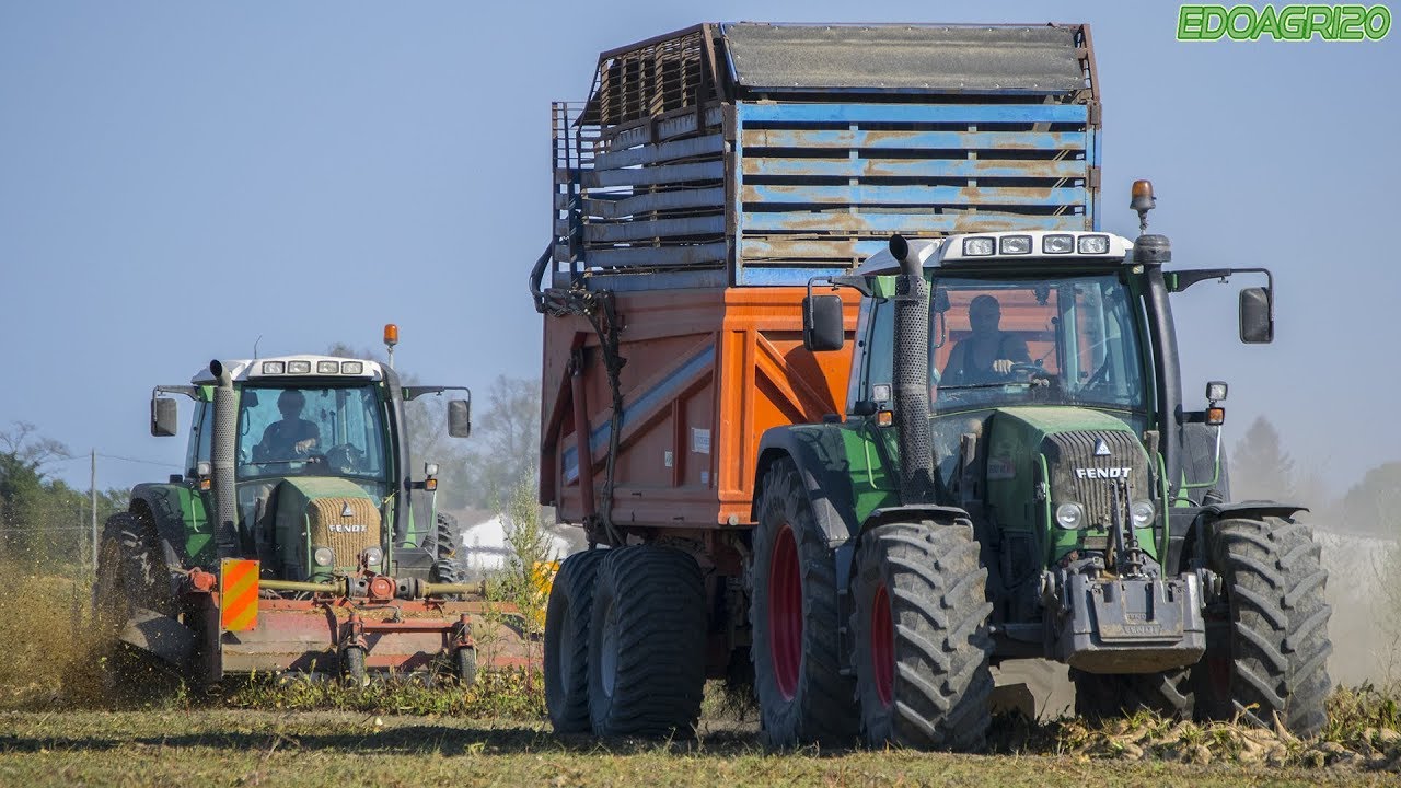 Fendt Vario Tms 415 - 412 + Stacchenzini | Sugar Beet Harvest | By Edoagri20