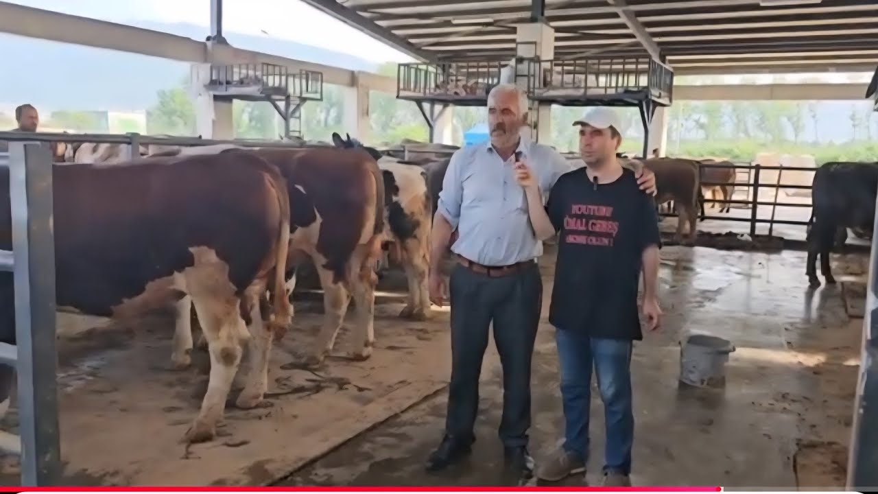 BURSA OSMANGAZİ KURBAN PAZARI 3.BÖLÜM