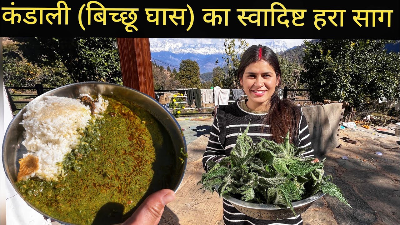ससुराल वालों ने पहली बार खाया स्वादिष्ट बिच्छू घास का हरा साग || Pahadi Village Lifestyle Vlog 