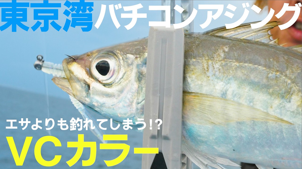 【東京湾/木更津栄宝丸】バチコンアジングのより多く釣れる秘訣とは 吉岡進