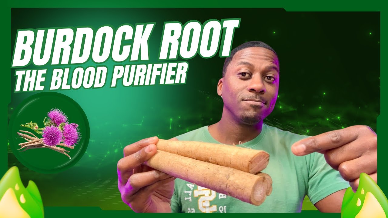 Burdock Root: The POTENT Blood Purifier and Liver Healer