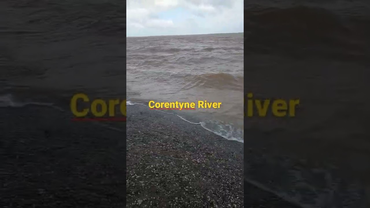 Waves of the Corentyne River 🇬🇾🌊