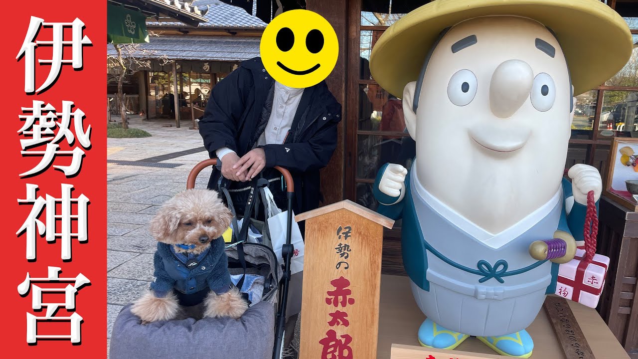 【トイプードルのテト】毎年恒例『伊勢神宮・鳥羽わんわんパラダイスホテル』三重県旅行 その1