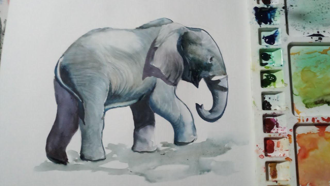 How to draw an elephant with watercolour