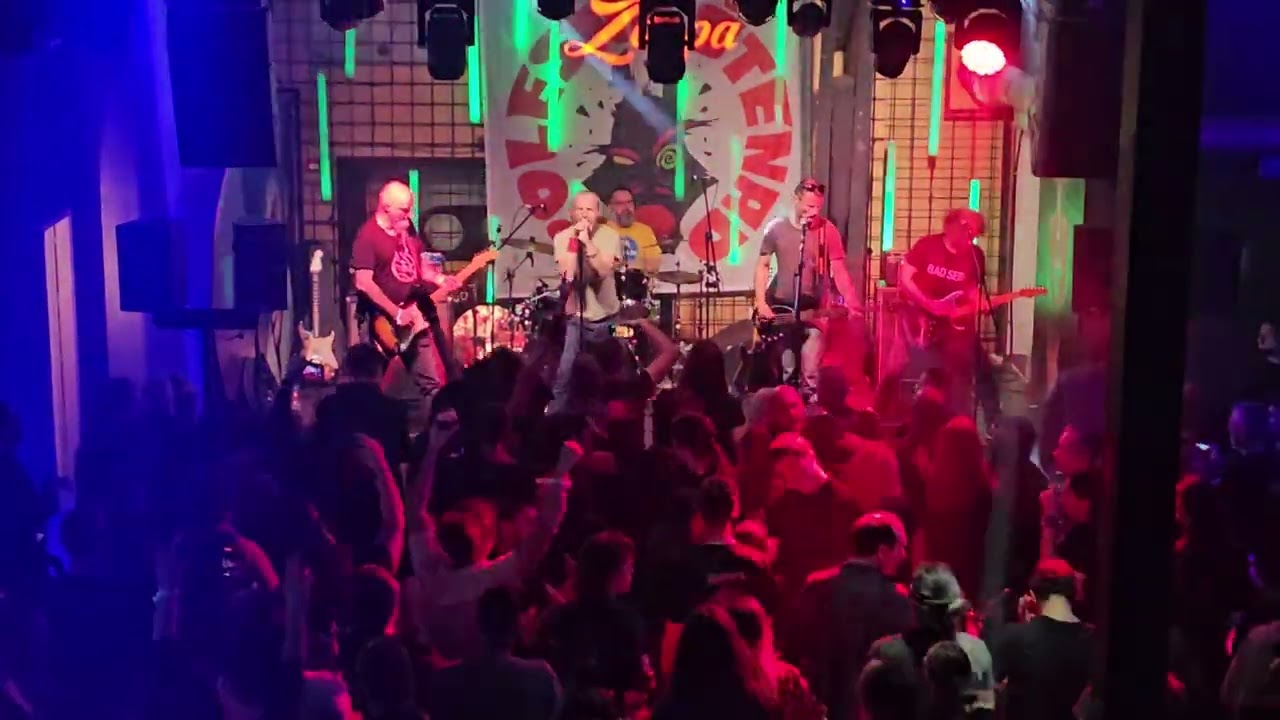 Petar Punk - Ceo koncert (25.10.2024.)