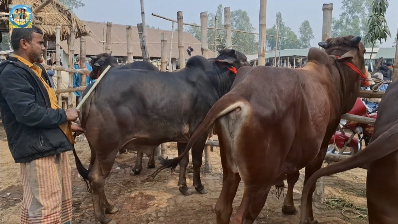 @ সোমবার ৯ ফেব্রু
