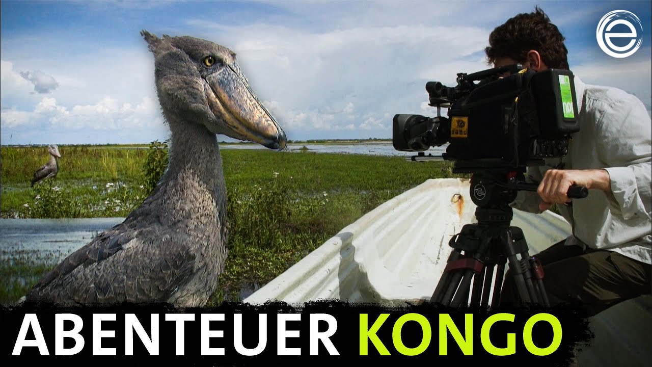 Abenteuer Kongo ‒ Das Making-Of | Erlebnis Erde