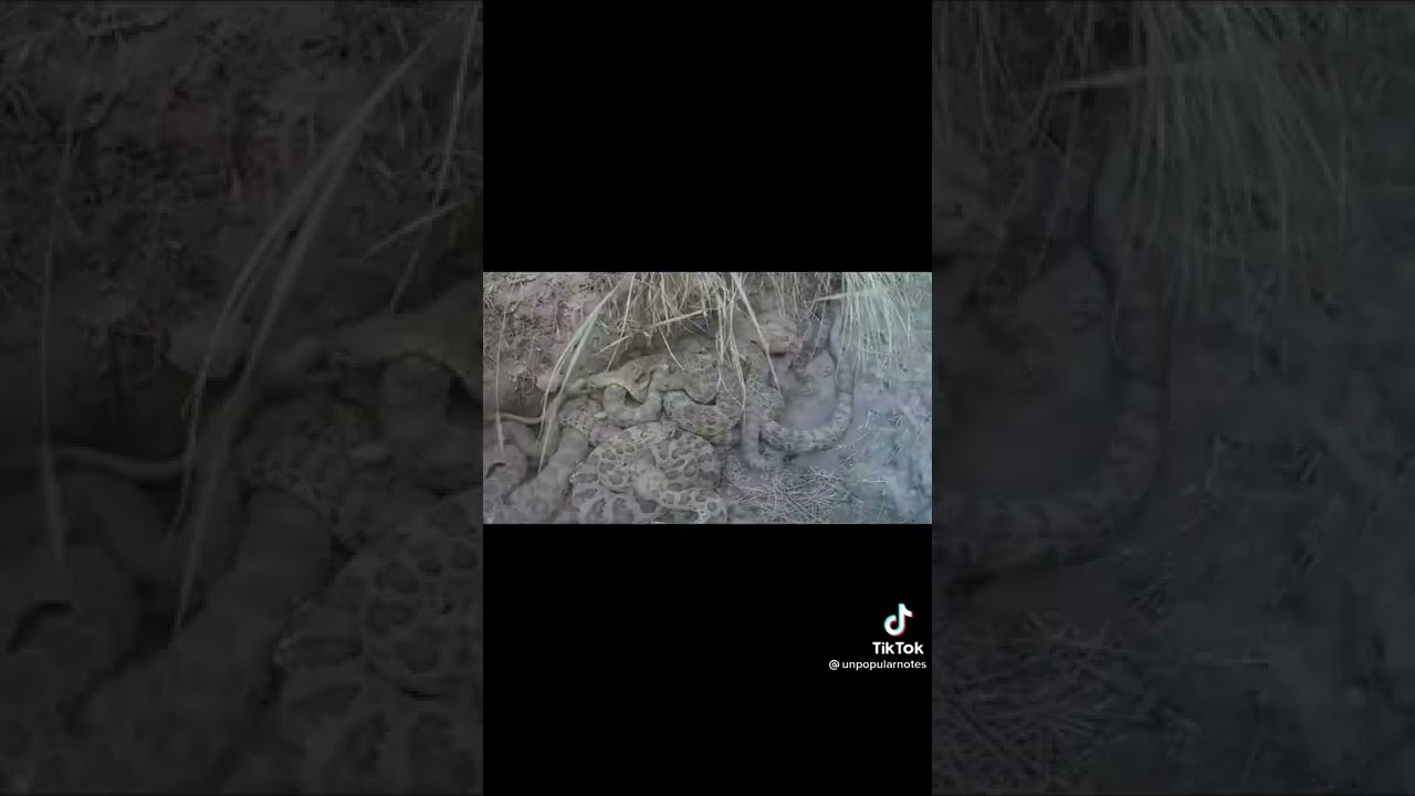 scary drone footage
