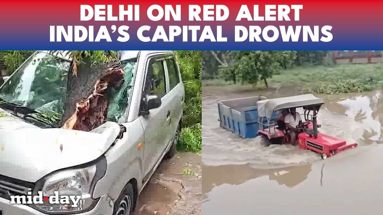 Delhi Rains CHAOS: Building COLLAPSES, Trees FALL, Massive Traffic Jams, IMD Issues Red Alert