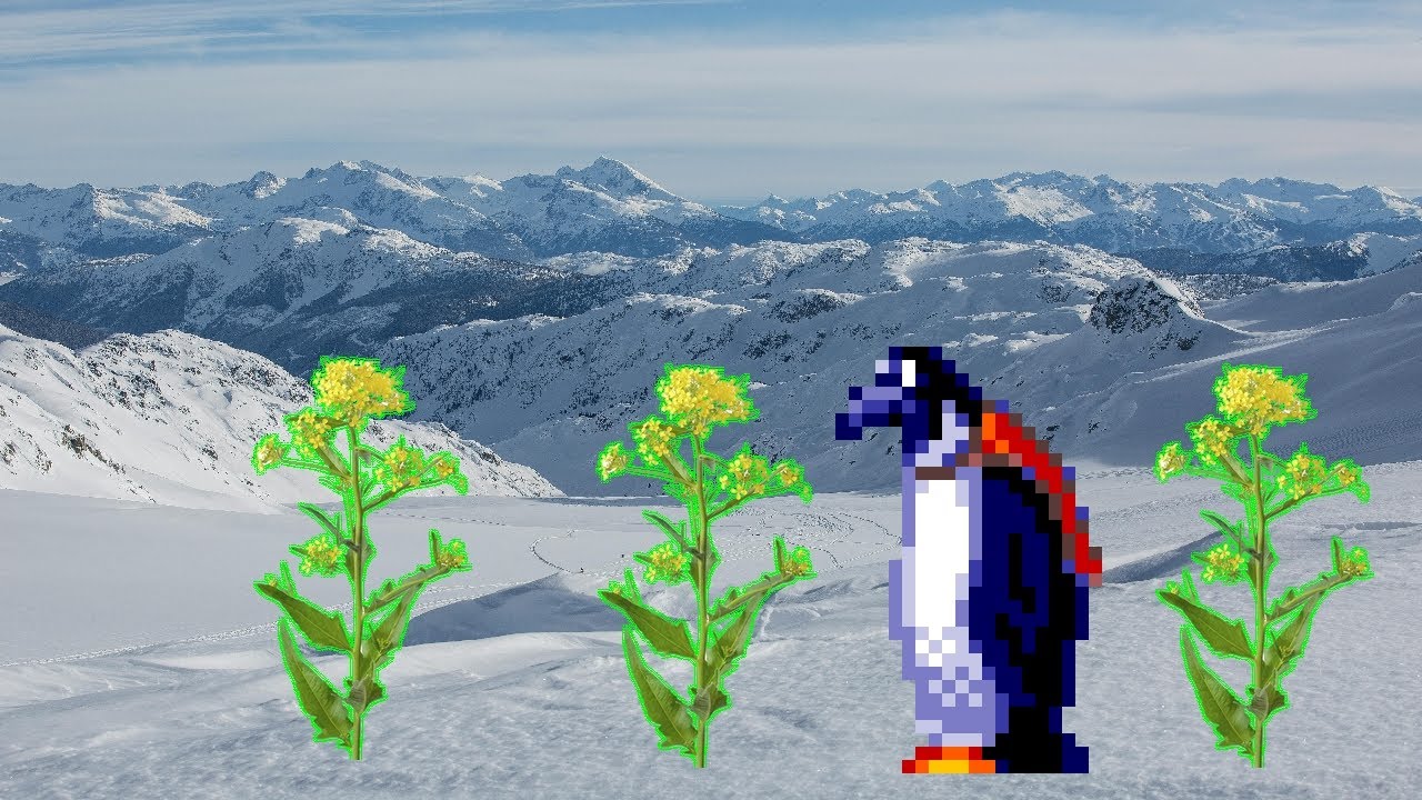 ~omh~ - Level 4-🏠: Snowbarrage House