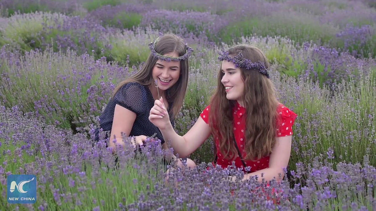 How to Naturally Stop Mosquitoes From Biting You