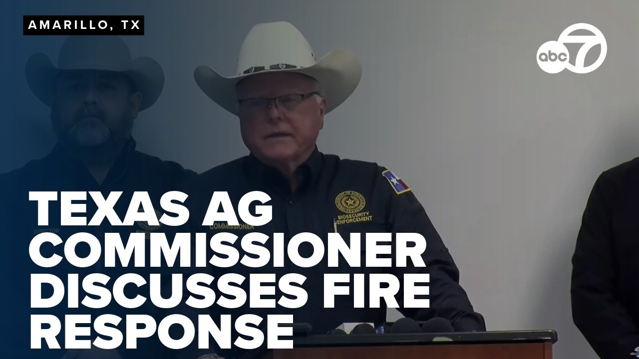 Texas ag commissioner offers resources as Panhandle wildfires strain farmers, ranchers
