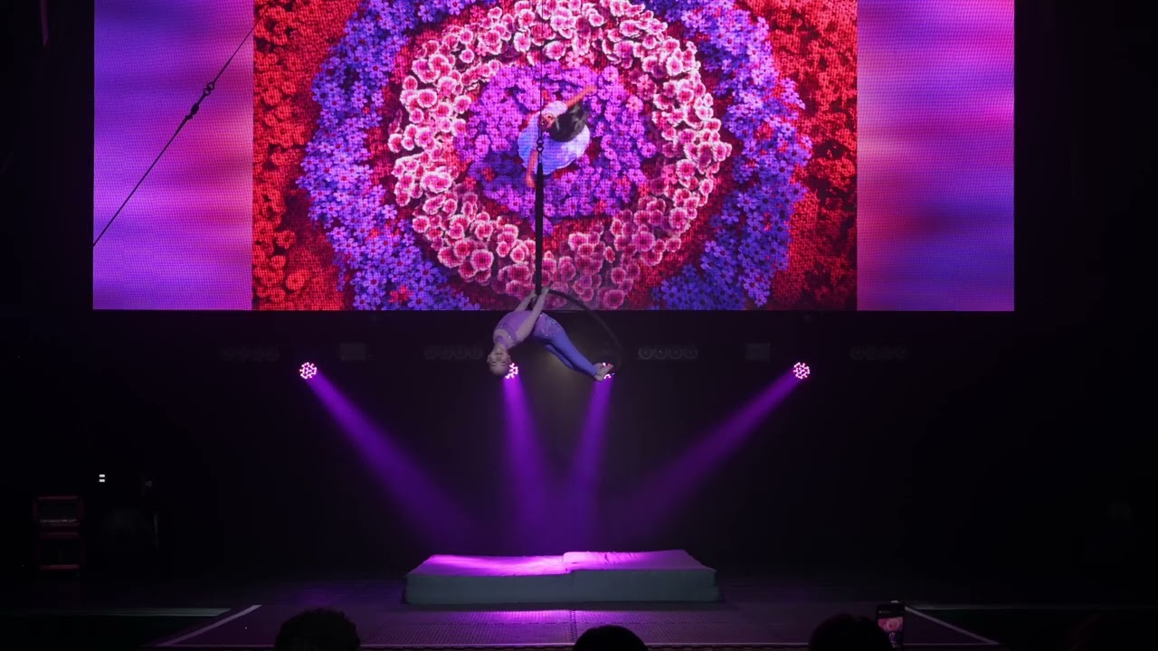 Зубкова Вероника, Catwalk #catwalkdancefestival  #circus #aerialhoop
