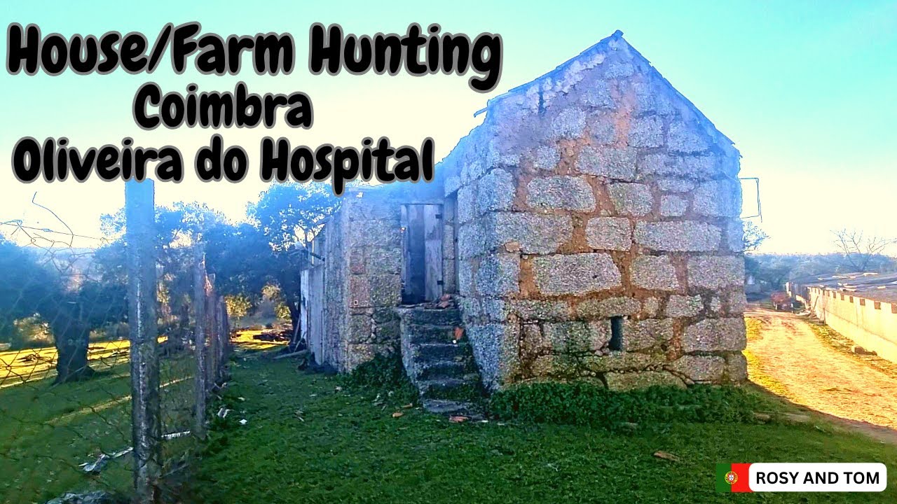 Househunting in Portugal - Coimbra region - Oliveira do Hospital - Finding our perfect farmstead