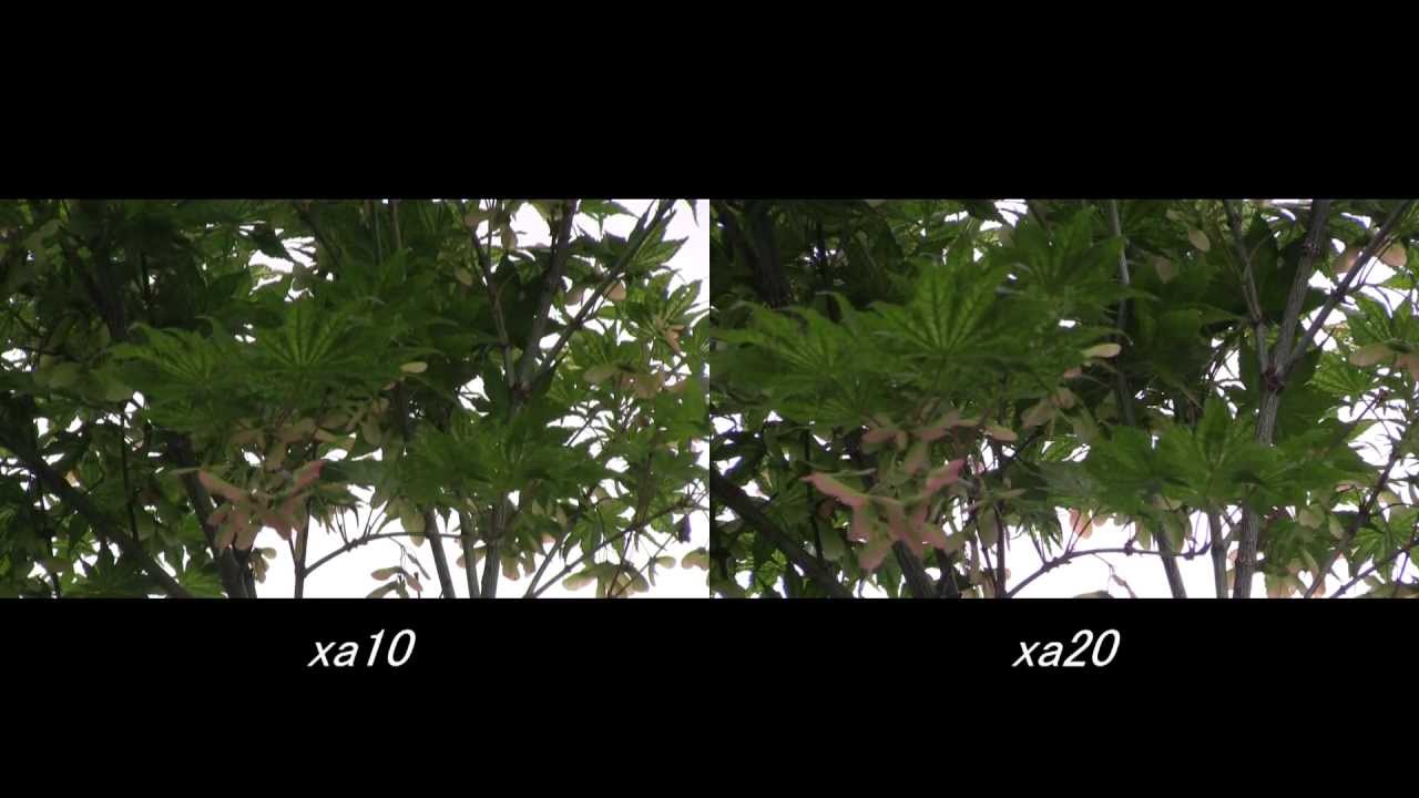 Canon XA10 vs XA20