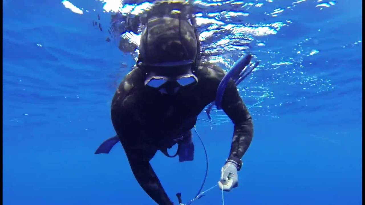 Spearfishing St Helena Island