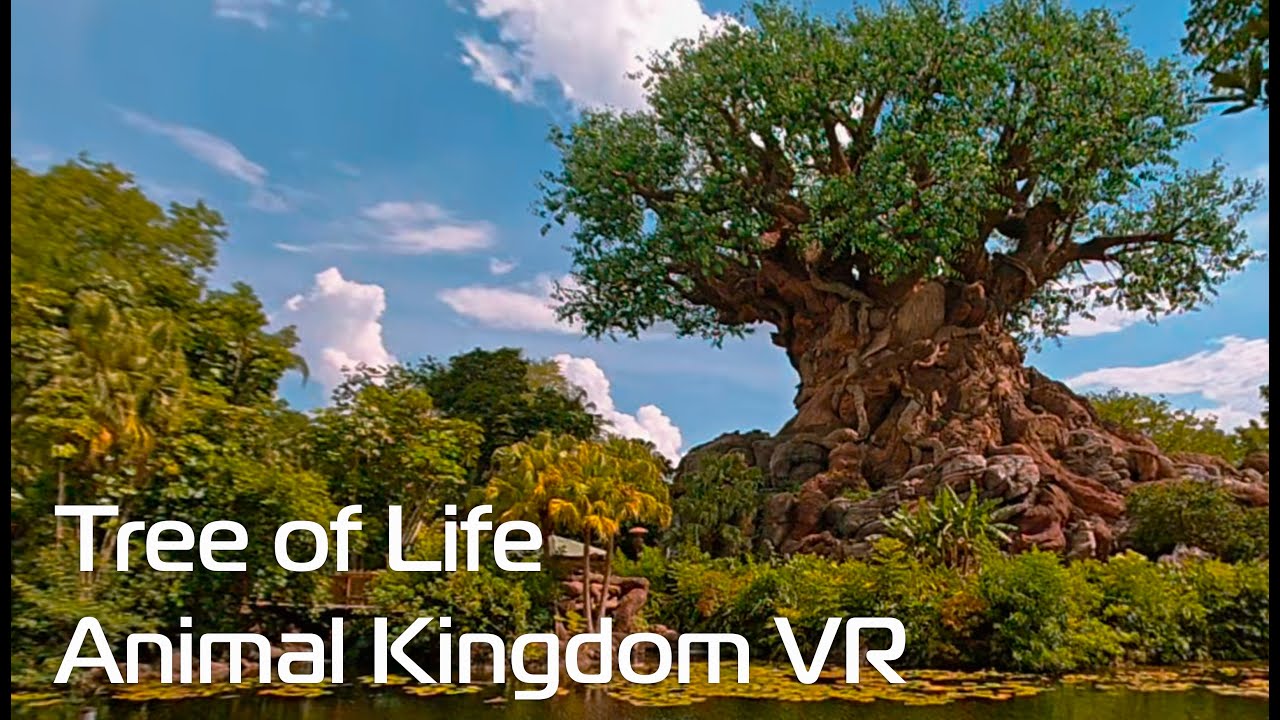 Tree of Life in 180VR 3D HDR | Disney's Animal Kingdom | Slam XCam