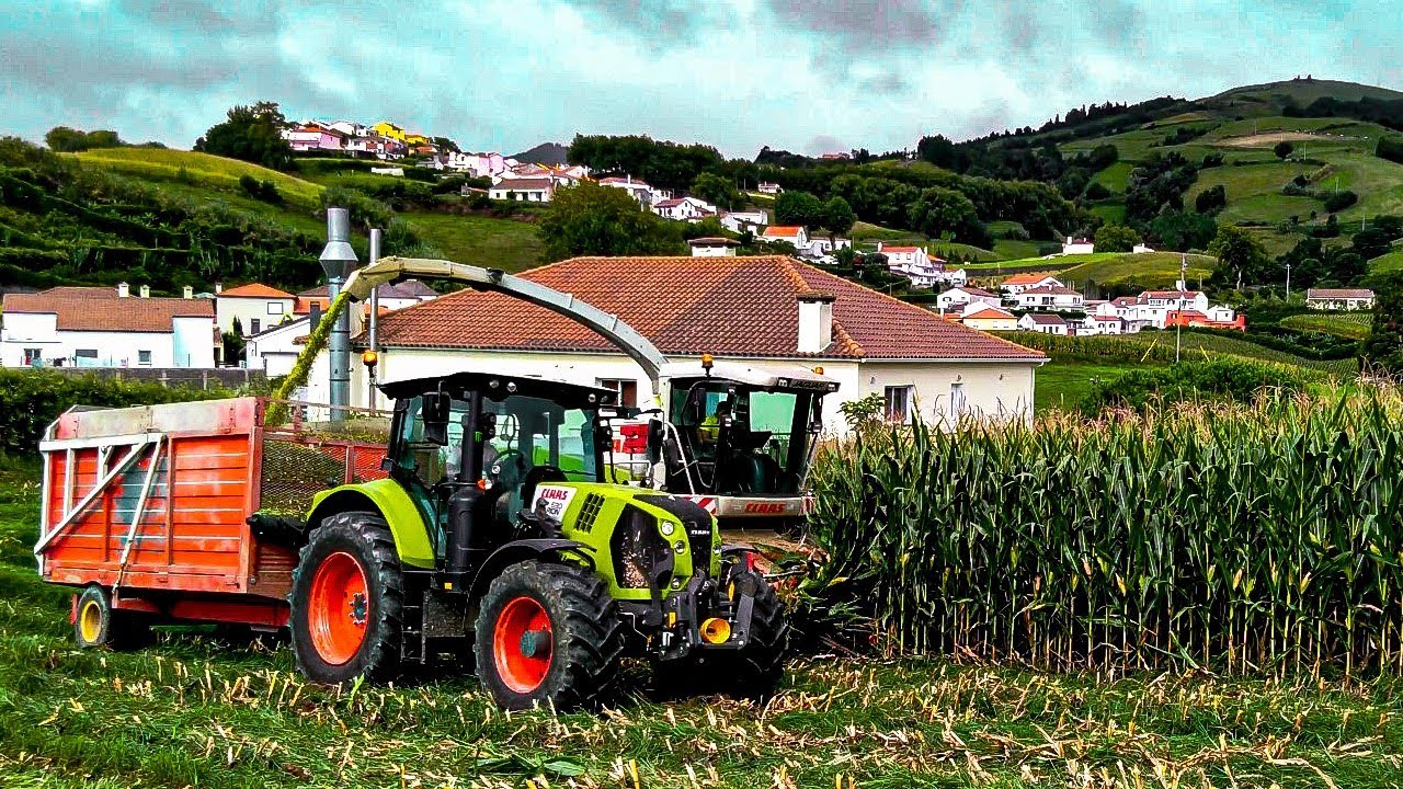 Corn Silage in the Azores 2020 - Claas Jaguar 870/Claas Arion 630/John Deere 6090rc & 6420 - 4k