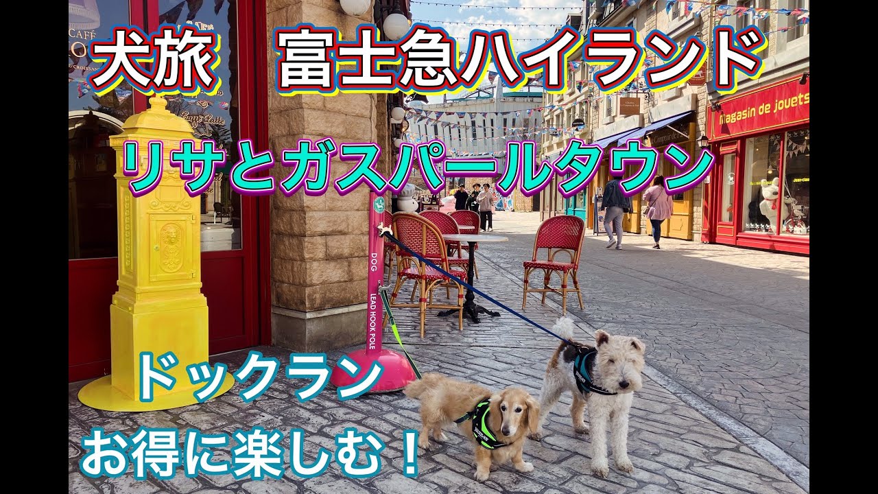 【#犬連れ #河口湖 旅】 #富士急ハイランド #リサとガスパールタウン に #穴場 の #ドックラン #ダックス #ワイヤーフォックス
