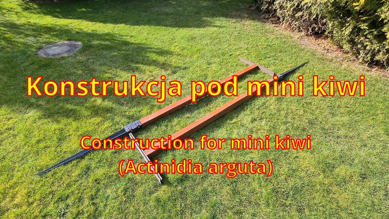 Podpora pod mini kiwi. Support for mini kiwi