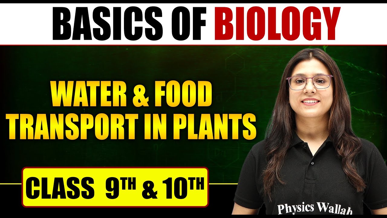 Basics of Biology | Water and Food Transport in Plants | Class 10th | Pure English