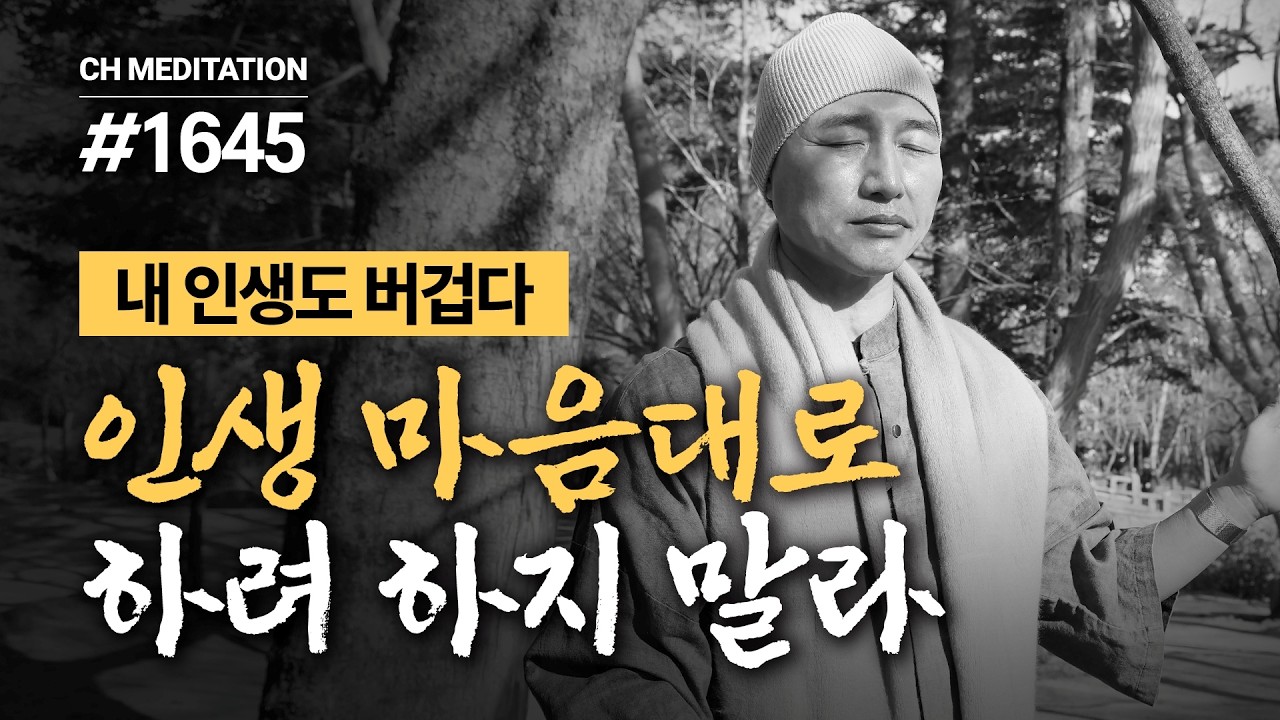 1645일 수행ㅣ인생을 마음대로 하려 하지 말라. 인연 따라 흐를 뿐이다 ✔️내 인생도 버겁다 🧘18처 명상 ㅣ #인생지혜 #마음공부 #명상
