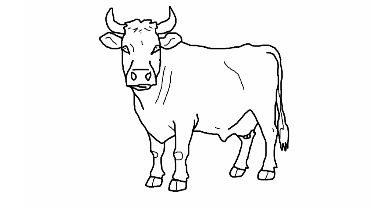 Draw a Cute Cow - Step By Step - Easy Drawing - Nishant Pundir