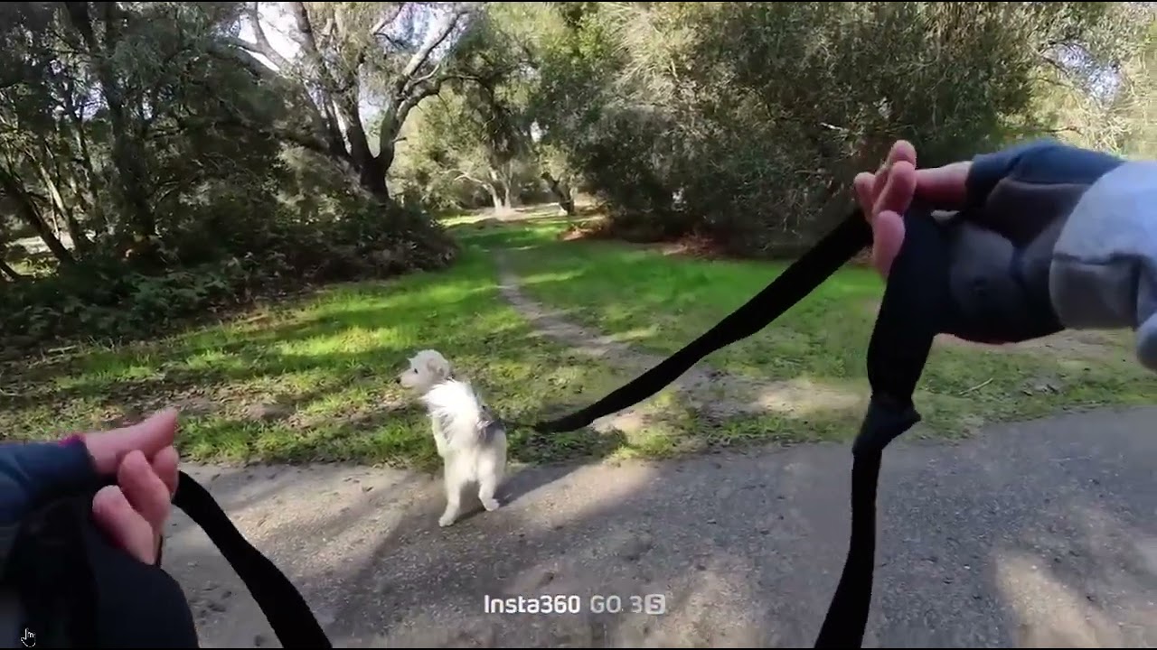Henry 2 Video First Semi Blind Trail