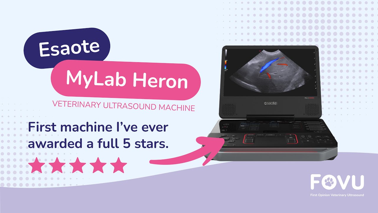 Esaote MyLab Heron | My 5⭐ Veterinary Ultrasound Machine Walkthrough