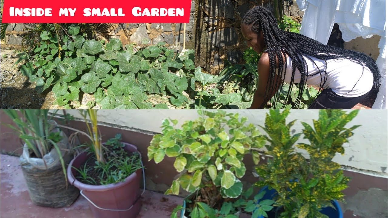 FRESH FROM MY GARDEN//WEEKEND VIBES🔥🔥🔥