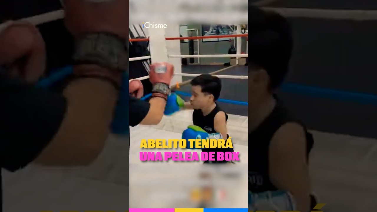 Abelito tendr&aacute; una pelea de box y este es su contrincante