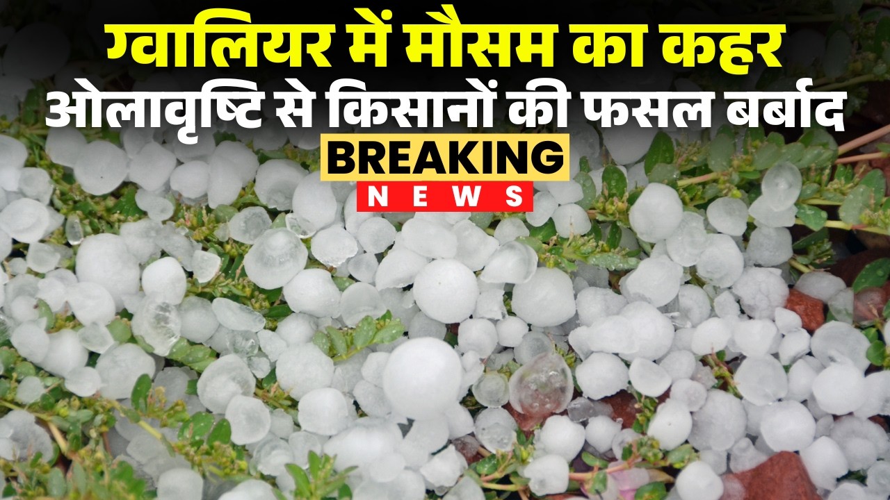 MP Weather News: Weather changes in Gwalior. Heavy hailstorms hit, causing heavy losses for farmers.