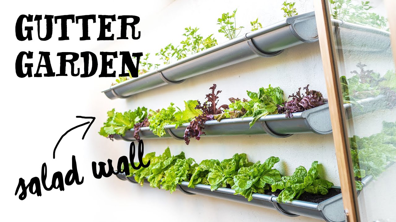 VERTICAL KITCHEN GUTTER GARDEN - The Food Wall