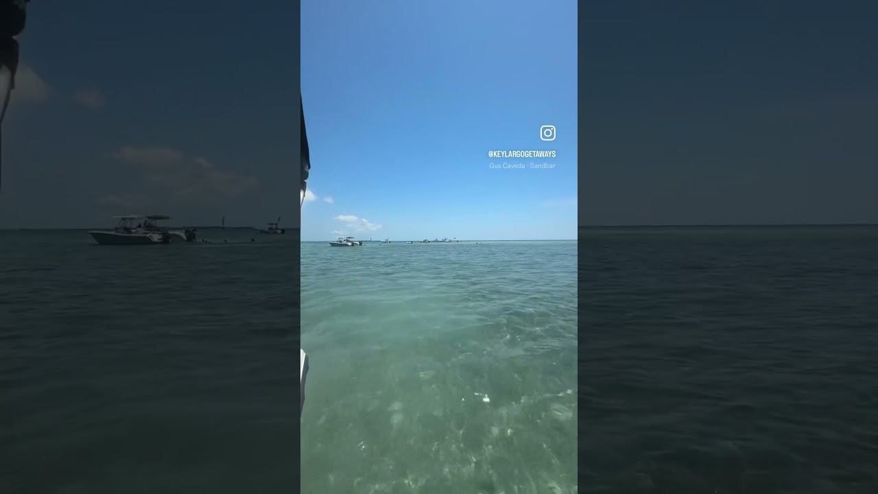 Discover the beautiful Tavernier Key Sandbar! Sun, fun, and stunning views await.