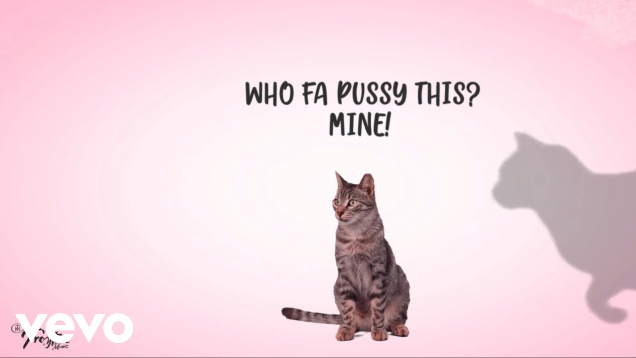 Tanya Stephens - Who Fah (official visualizer)