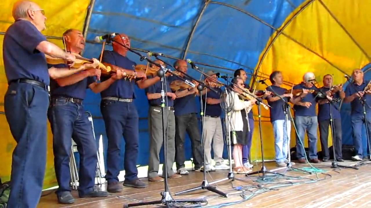 El pericote