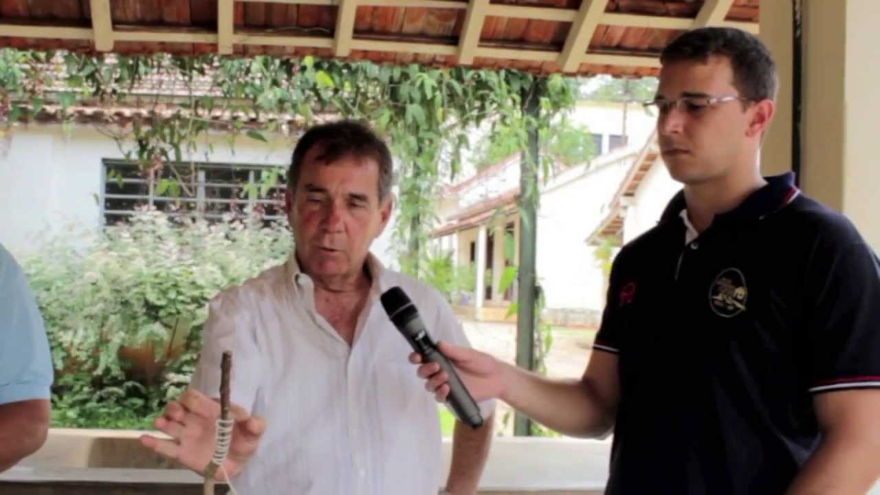 CPRURAL RESPONDE: Jabuticaba, Manga e Limão.