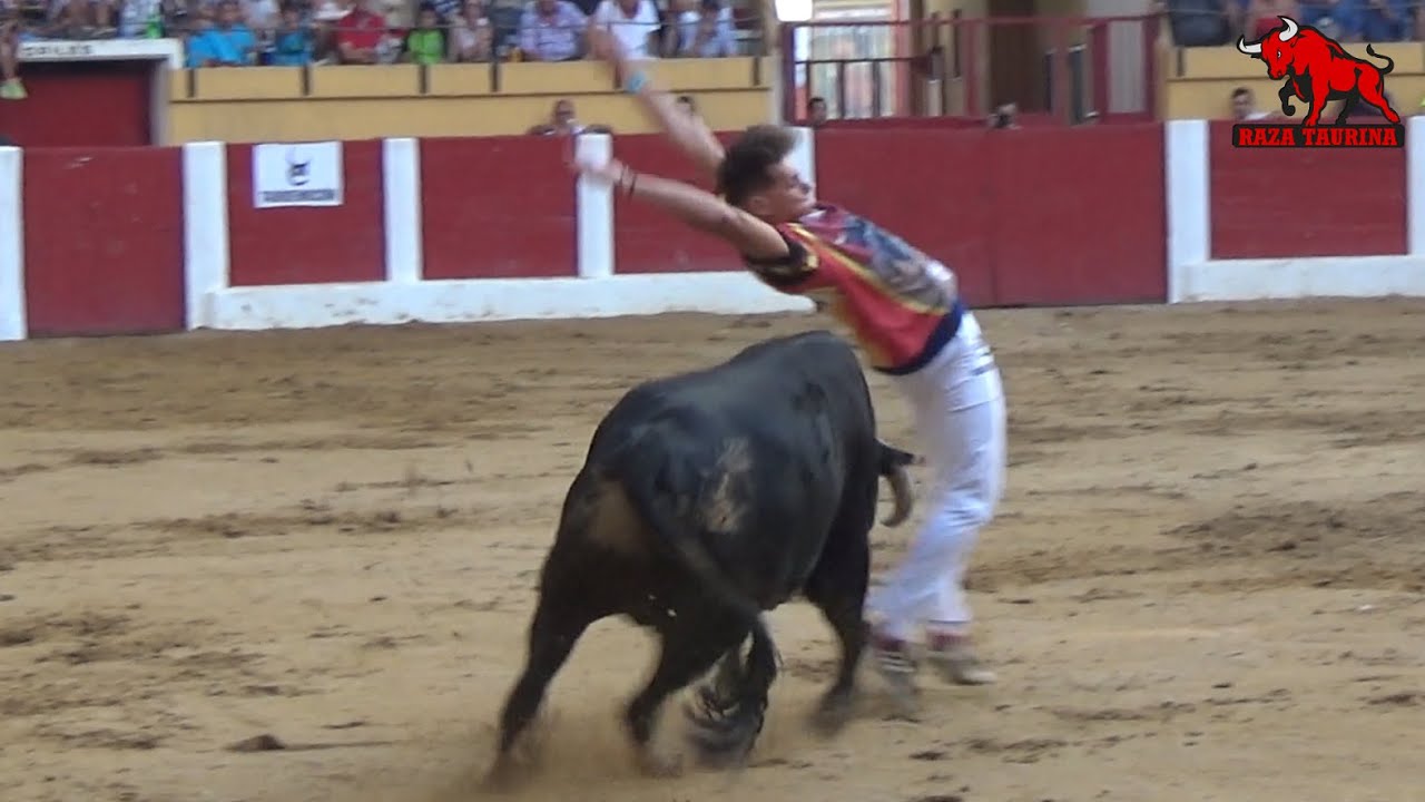 Concurso Nacional de Recorte Libre. Íscar. 3 Agosto 2019