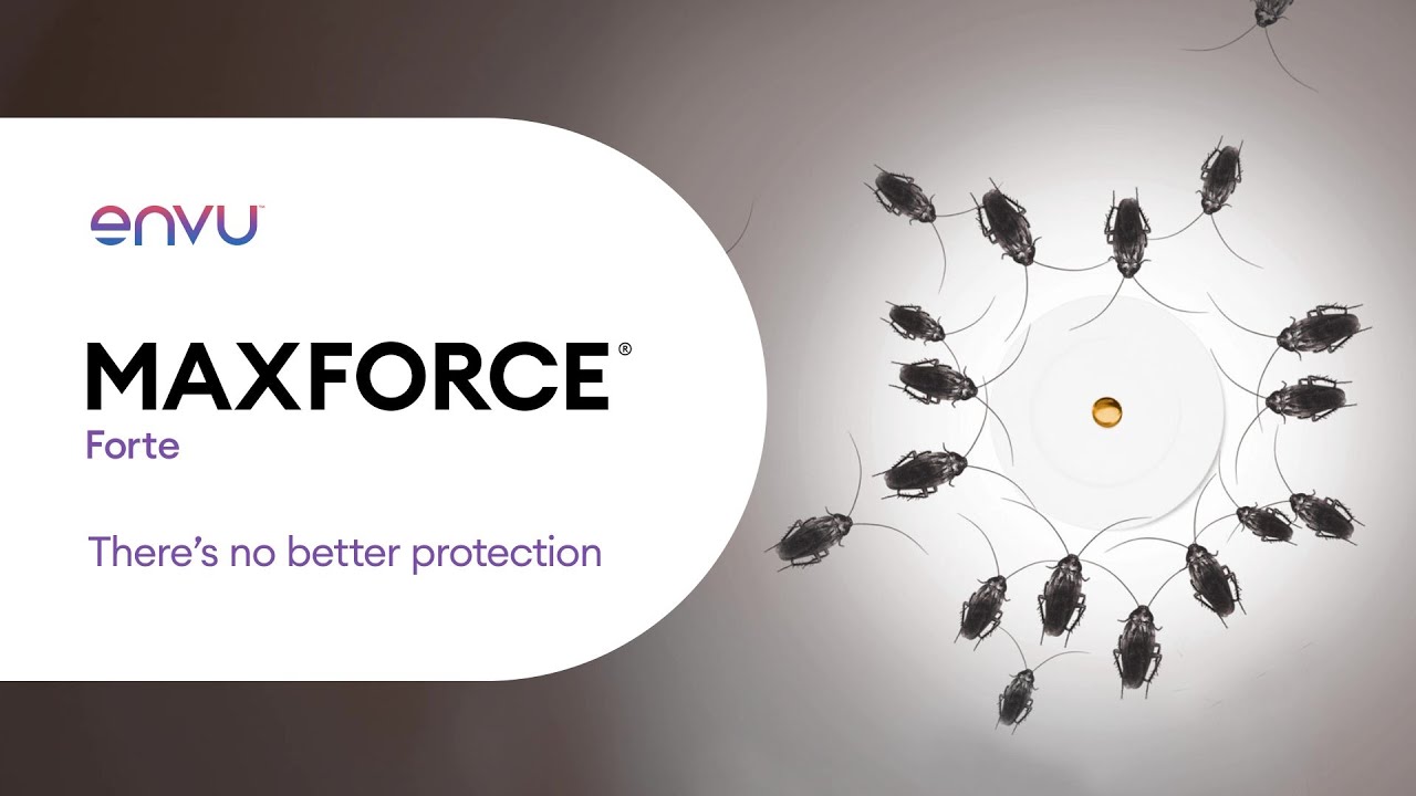 Maxforce&reg; Forte