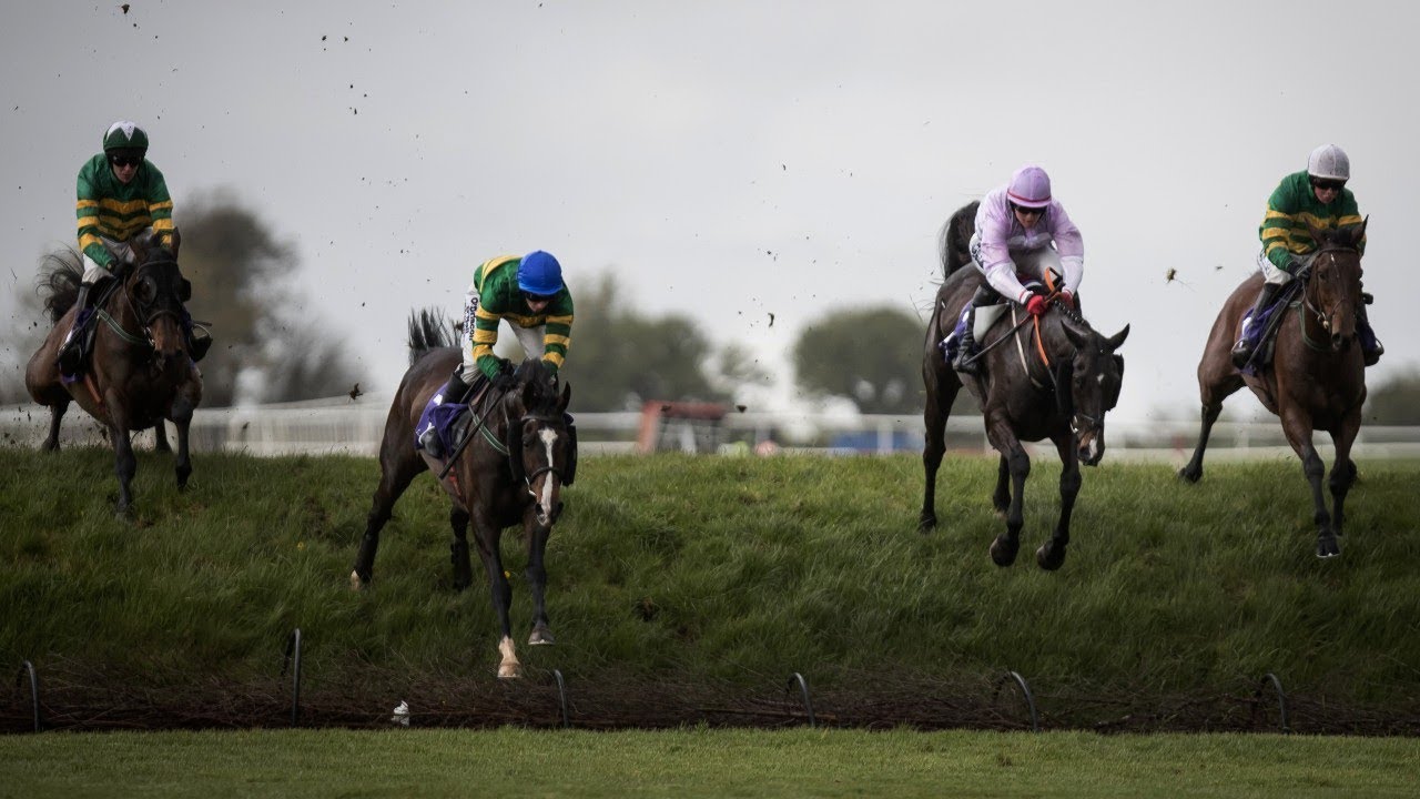 Auvergnat - 2018 Punchestown Cross Country Chase La Touche Cup (Build Up, Race & Reaction)