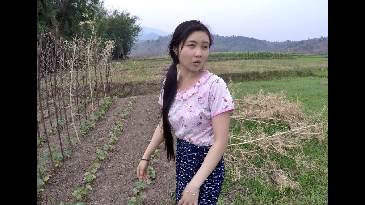 นวลหล้าลงมือทำข้าวแรมฟืนพร้อมพาชมสวนแทบไม่อยากกลับเลย Eat and Travel Tai Khun Village
