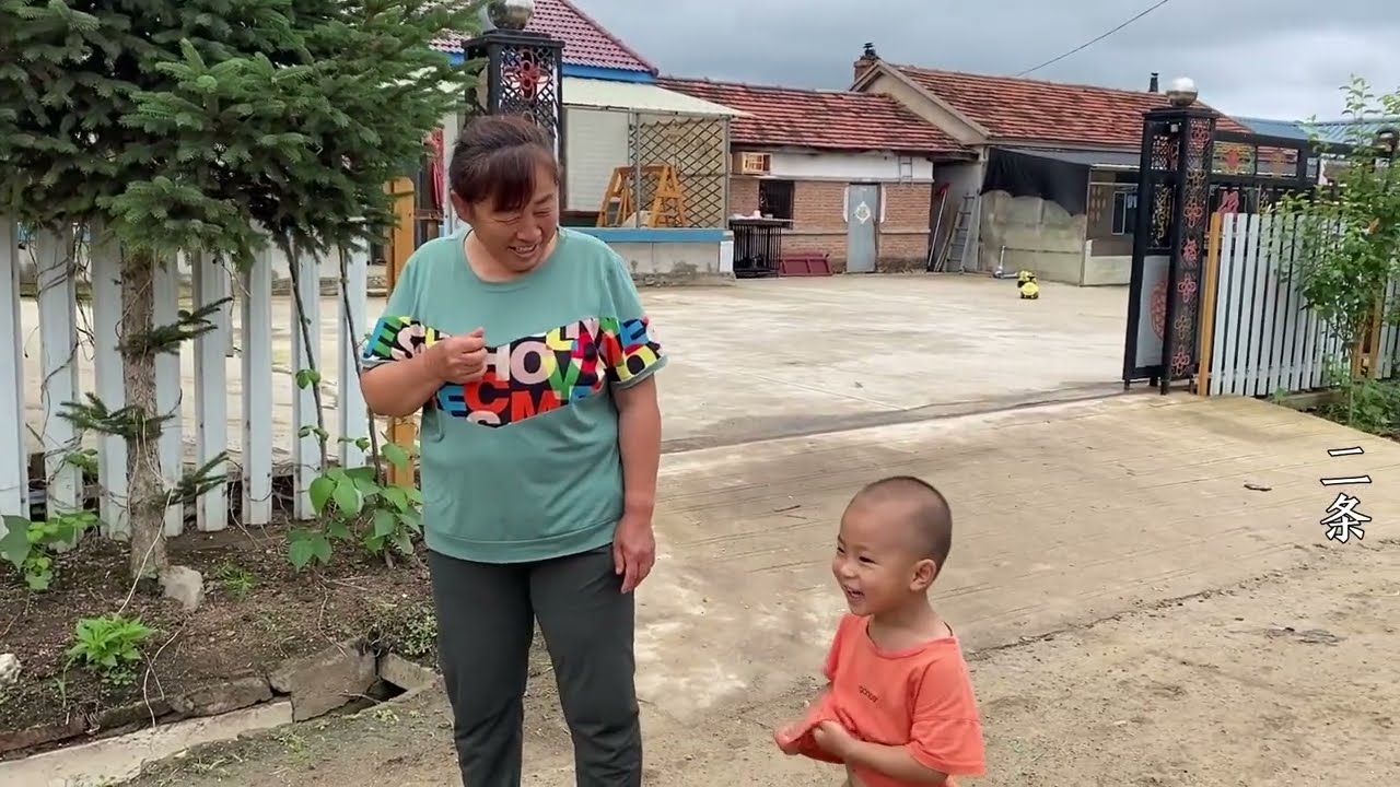 悠闲的夏日时光，二条家人在大院陪孩子玩耍，最后谁来串门了？