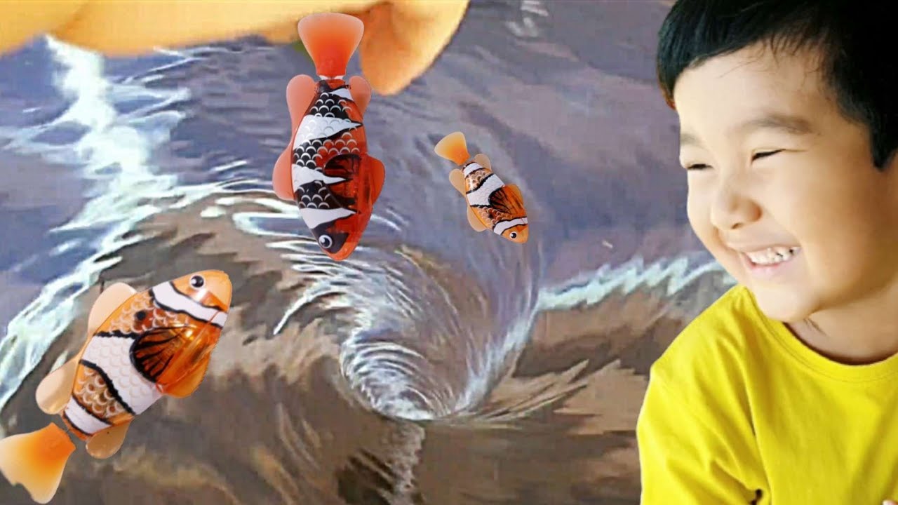 Water Tornado and Robot fish | Fun experiment with Whirlpool
