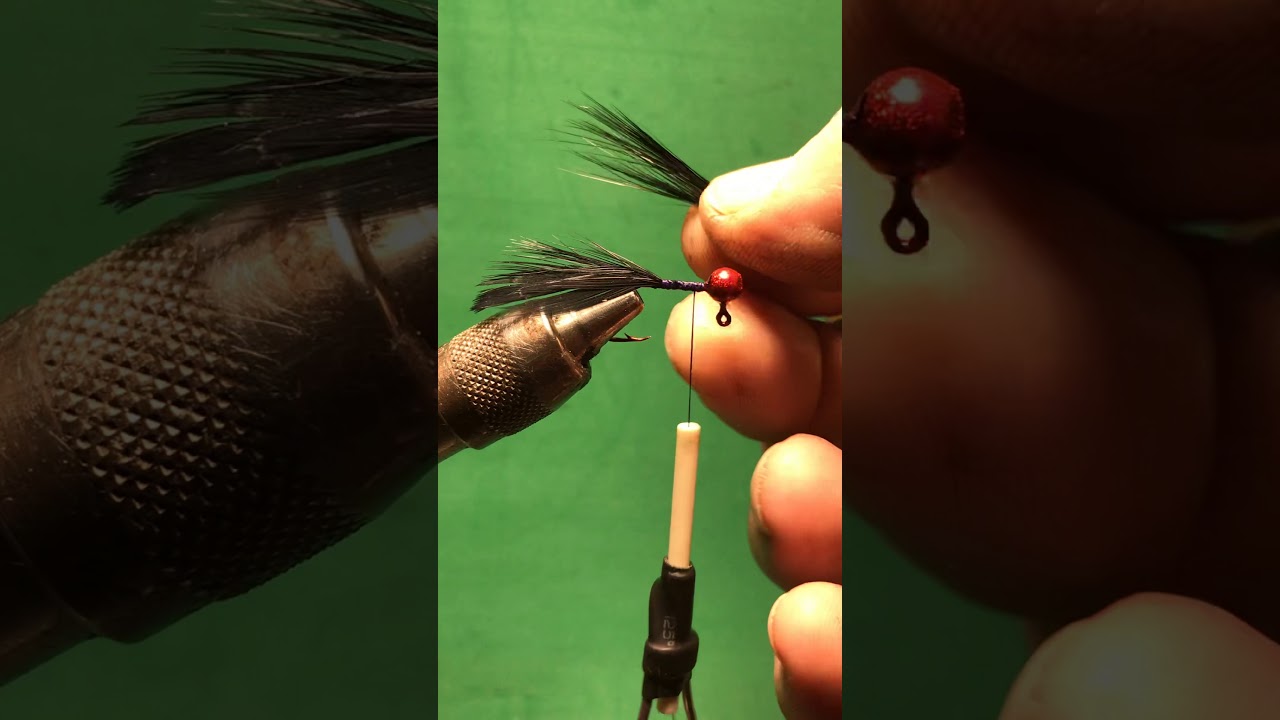 Tying videos for Beginners - video #5 - How to use Hackle feathers